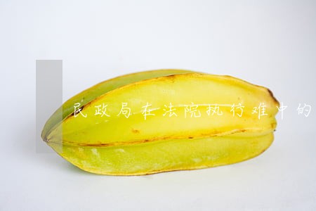 民政局在法院执行难中的职责