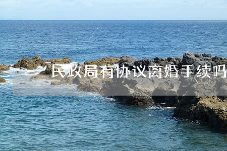 民政局有协议离婚手续吗 民政局有协议离婚手续吗
