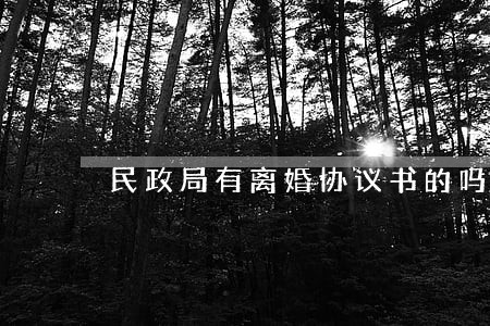 民政局有离婚协议书的吗 民政局有离婚协议书的吗