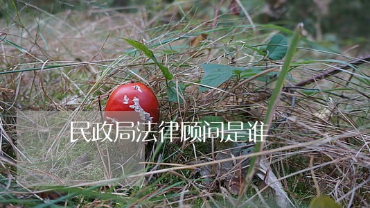 民政局法律顾问是谁 民政局法律顾问是谁