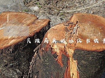 民政局离婚协议书收费 民政局离婚协议书收费