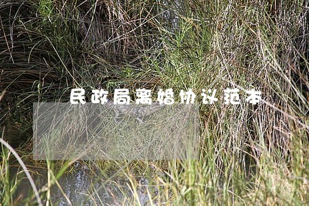 民政局离婚协议范本 民政局离婚协议范本