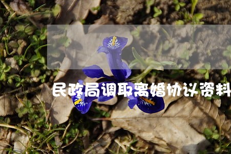 民政局调取离婚协议资料 民政局调取离婚协议资料