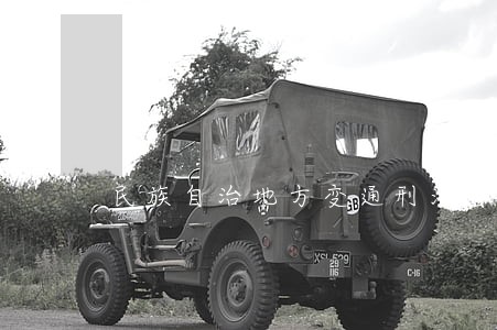 民族自治地方变通刑法有哪些