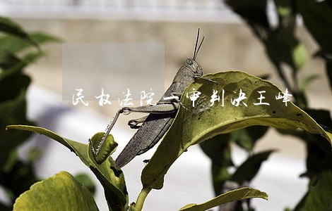民权法院一审判决王峰 民权法院一审判决王峰