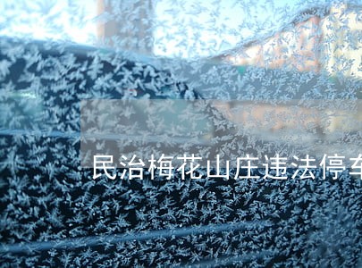 民治梅花山庄违法停车 民治梅花山庄违法停车