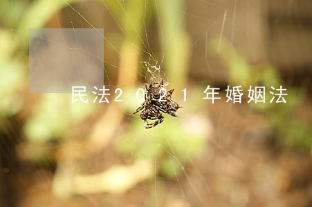 民法2021年婚姻法