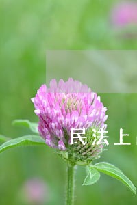 民法上占先的概念具体是什么 民法上占先的概念具体是什么