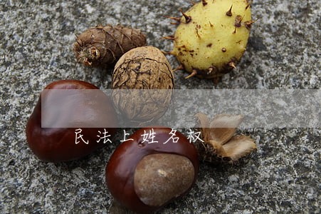 民法上姓名权 民法上姓名权
