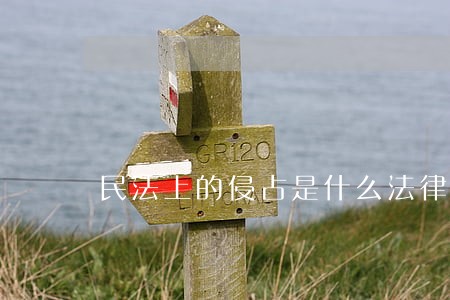 民法上的侵占是什么法律关系 民法上的侵占是什么法律关系
