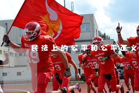 民法上的公平和公平正义区别 民法上的公平和公平正义区别