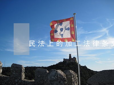 民法上的加工法律条文 民法上的加工法律条文