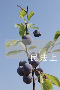 民法上的婚礼 民法上的婚礼