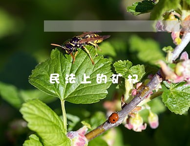 民法上的矿权 民法上的矿权