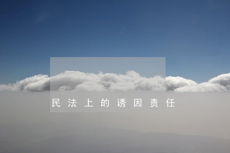 民法上的诱因责任 民法上的诱因责任