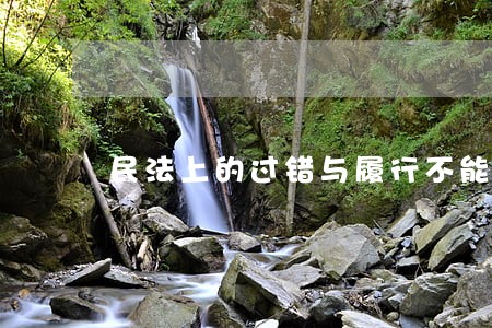 民法上的过错与履行不能
