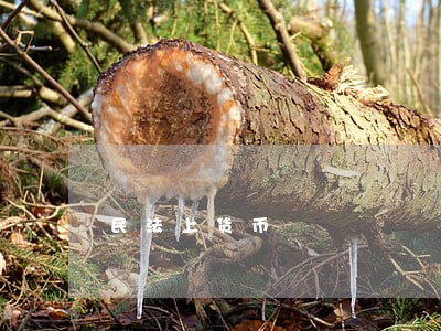 民法上货币 民法上货币