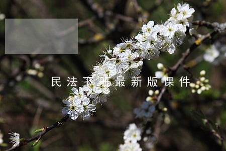 民法下册最新版课件 民法下册最新版课件