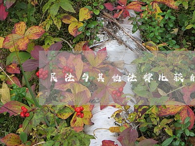 民法与其他法律比较的地位 民法与其他法律比较的地位