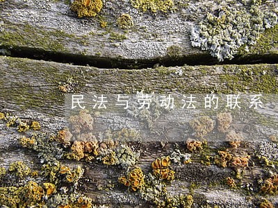民法与劳动法的联系 民法与劳动法的联系
