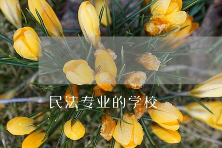 民法专业的学校 民法专业的学校