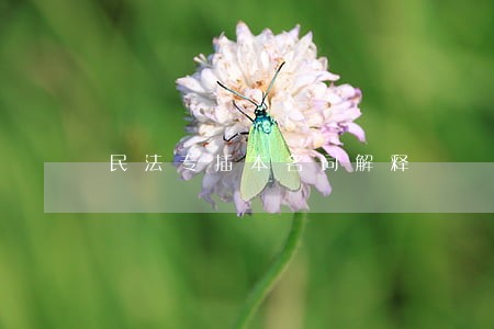 民法专插本名词解释 民法专插本名词解释