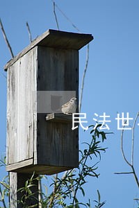 民法世界中的诚实信用原则 民法世界中的诚实信用原则