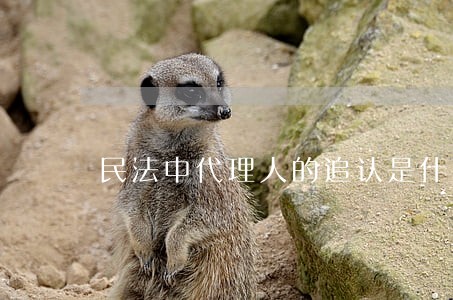 民法中代理人的追认是什么意思 民法中代理人的追认是什么意思