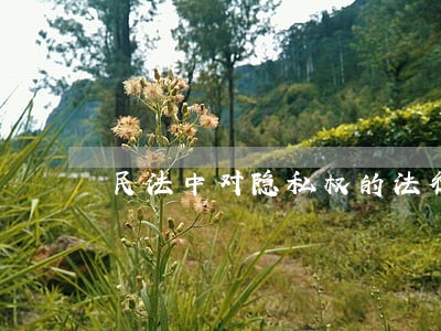 民法中对隐私权的法律保护