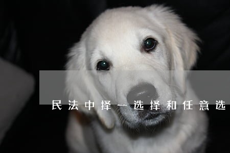 民法中择一选择和任意选择 民法中择一选择和任意选择