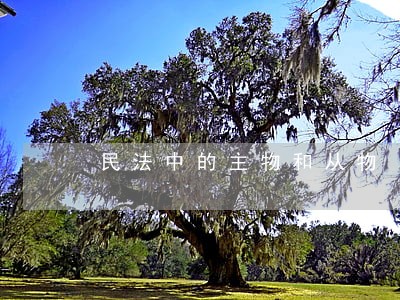 民法中的主物和从物 民法中的主物和从物