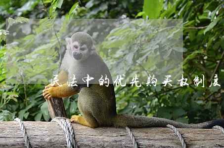 民法中的优先购买权制度研究 民法中的优先购买权制度研究