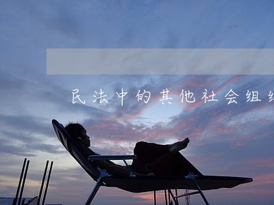 民法中的其他社会组织包括哪些 民法中的其他社会组织包括哪些