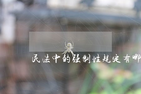 民法中的强制性规定有哪些 民法中的强制性规定有哪些