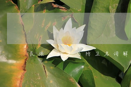 民法中的正当防卫名词解释 民法中的正当防卫名词解释