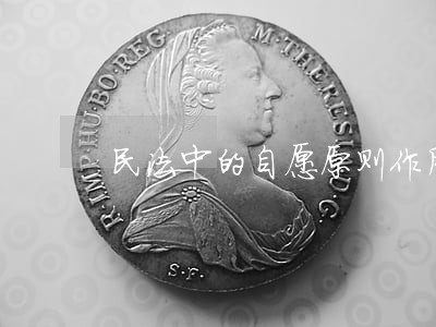民法中的自愿原则作用