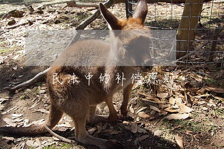民法中的补偿原则 民法中的补偿原则