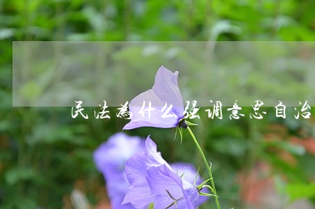 民法为什么强调意思自治