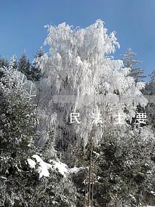 民法主要法律关系