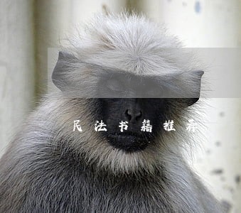民法书籍推荐