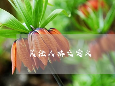 民法人格之定义 民法人格之定义