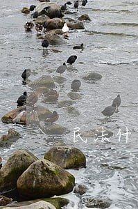 民法什么是代理 民法什么是代理