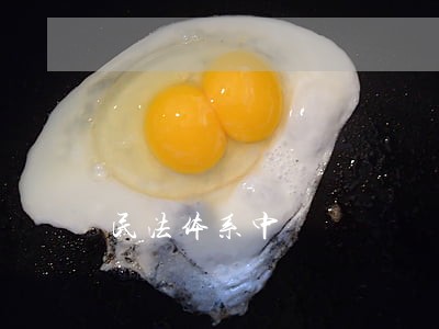 民法体系中 民法体系中