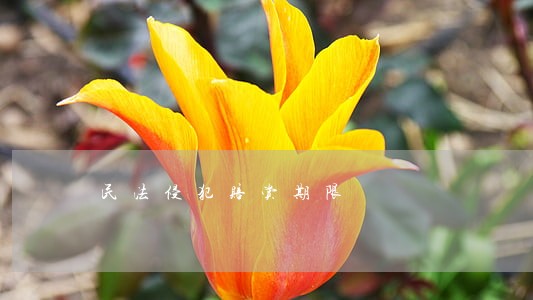 民法侵犯赔赏期限 民法侵犯赔赏期限