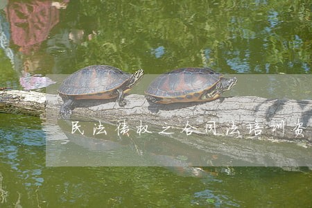 民法债权之合同法培训资料