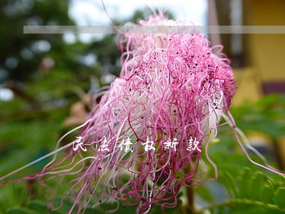 民法债权新款 民法债权新款