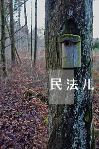 民法儿