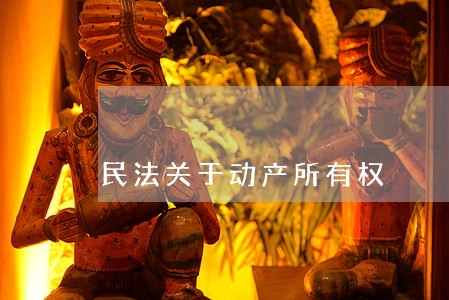 民法关于动产所有权 民法关于动产所有权