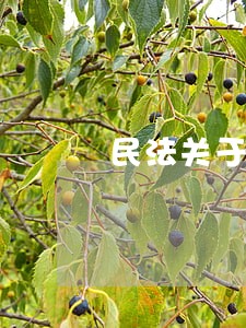 民法关于合同条款 民法关于合同条款