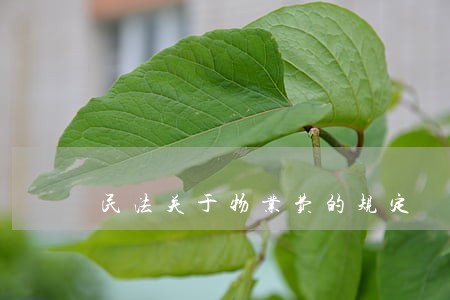 民法关于物业费的规定